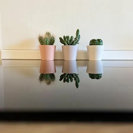 Casa Belfiore 1892 - Bilocale * Turin